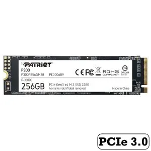 اس اس دی پتریوت 256 گیگابایت مدل P300